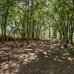 Feriegård Forest House Casinha Do Carvalhal Vila Nova de Cerveira