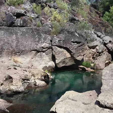 Forest House Casinha Do Carvalhal בית חווה *