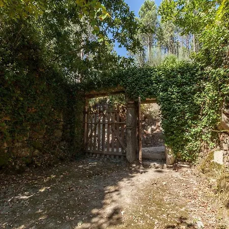Forest House Casinha Do Carvalhal * וילה נובה דה סרביירה