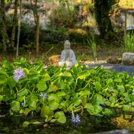 Forest House Casinha Do Carvalhal וילה נובה דה סרביירה