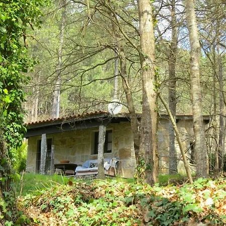 Forest House Casinha Do Carvalhal *