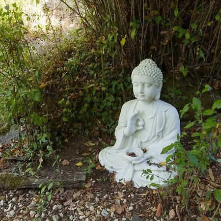 Forest House Casinha Do Carvalhal *