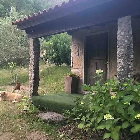 בית חווה Forest House Casinha Do Carvalhal *