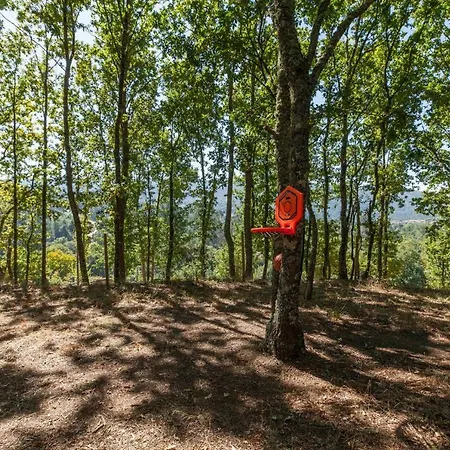 Forest House Casinha Do Carvalhal Gospodarstwo agroturystyczne *