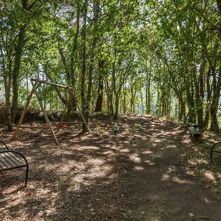 בית חווה Forest House Casinha Do Carvalhal וילה נובה דה סרביירה