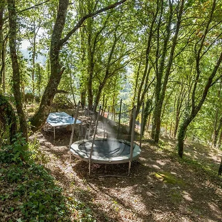 Forest House Casinha Do Carvalhal *