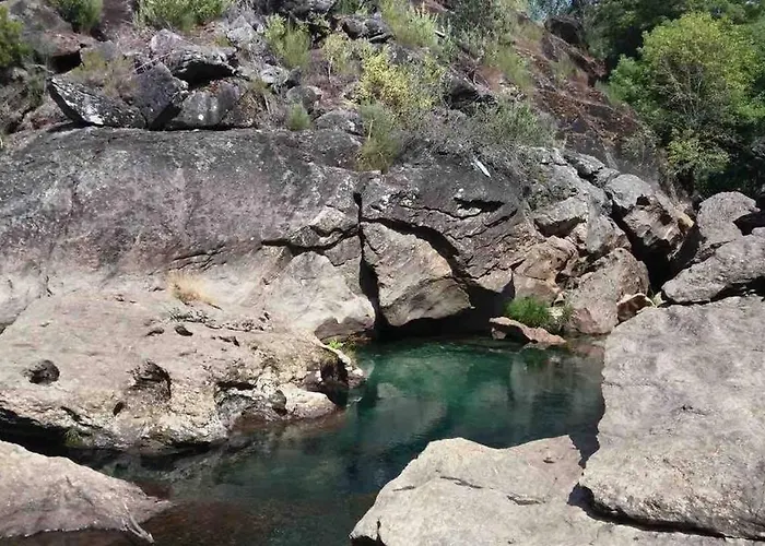 Forest House Casinha Do Carvalhal 农家乐 *