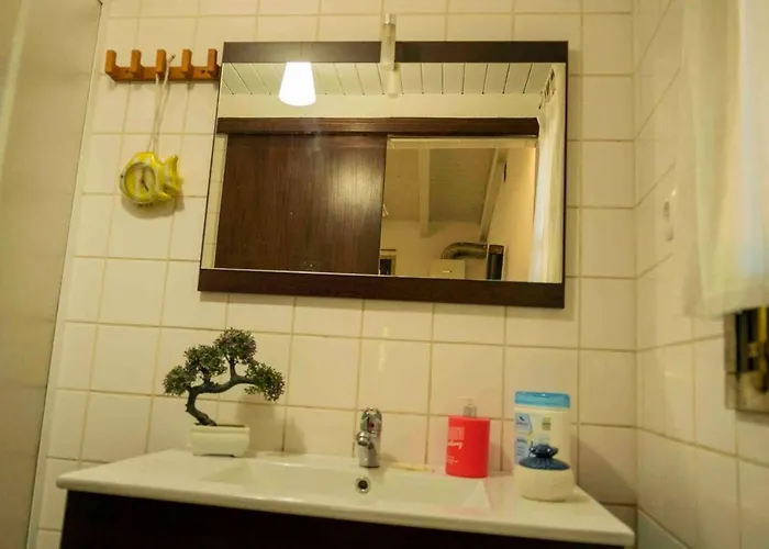 Forest House Casinha Do Carvalhal 维拉·诺瓦·达·塞尔维尔