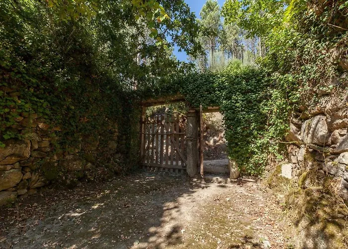 Forest House Casinha Do Carvalhal * 维拉·诺瓦·达·塞尔维尔