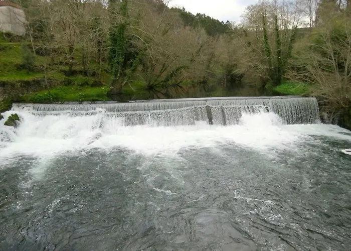 农家乐 Forest House Casinha Do Carvalhal *