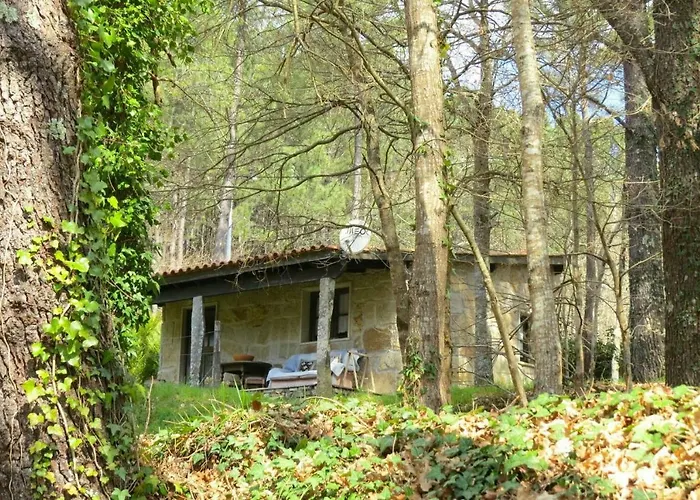 Forest House Casinha Do Carvalhal *