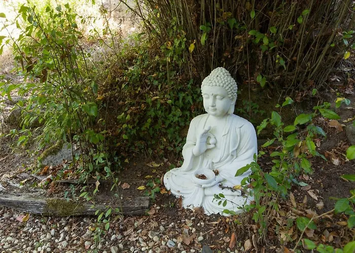 Forest House Casinha Do Carvalhal *