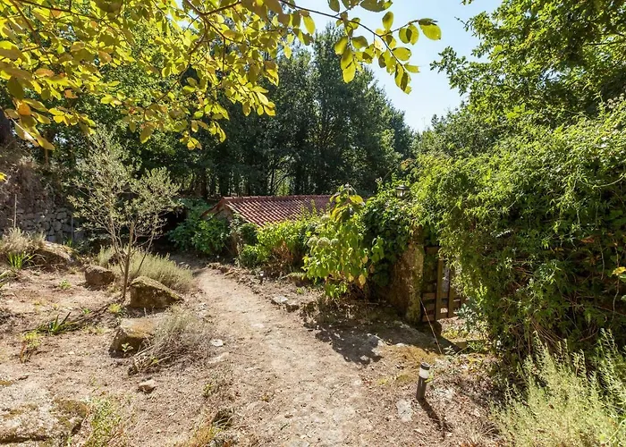 Forest House Casinha Do Carvalhal Lantgård Vila Nova de Cerveira