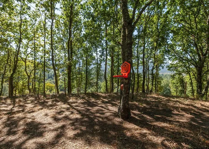 Forest House Casinha Do Carvalhal Feriegård *