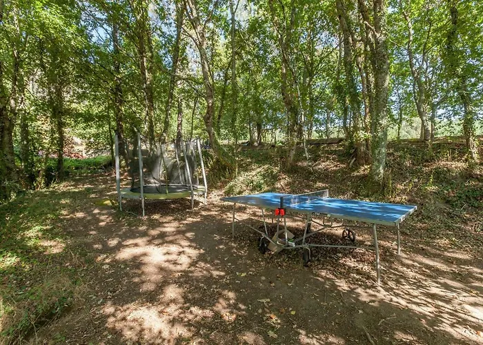 Forest House Casinha Do Carvalhal * 维拉·诺瓦·达·塞尔维尔