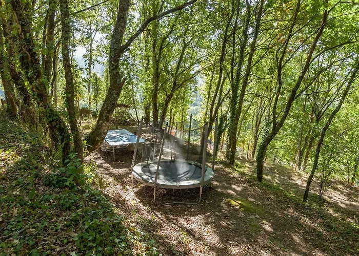 Forest House Casinha Do Carvalhal *